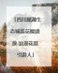 四川麓湖生态城蓝花楹盛放 浪漫花景引游人