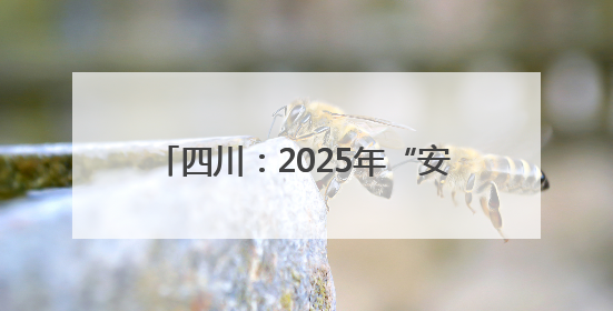 四川：2025年“安全生产月”活动启幕