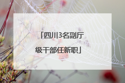 四川3名副厅级干部任新职