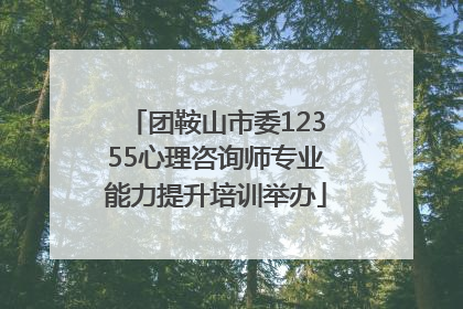 团鞍山市委12355心理咨询师专业能力提升培训举办
