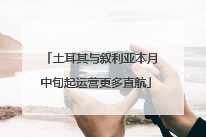 土耳其与叙利亚本月中旬起运营更多直航