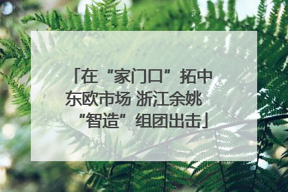 在“家门口”拓中东欧市场 浙江余姚“智造”组团出击