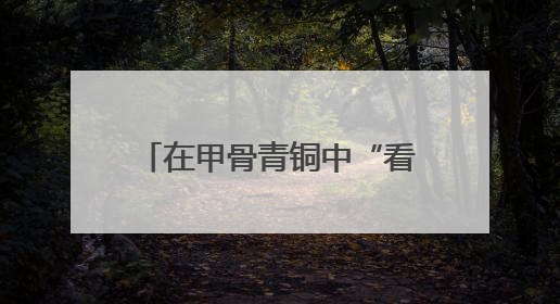 在甲骨青铜中“看见”殷商，一展纵览殷商文物精华