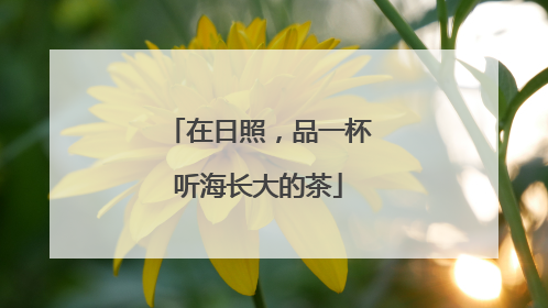 在日照，品一杯听海长大的茶