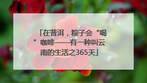在普洱，粽子会“喝”咖啡——有一种叫云南的生活之365天