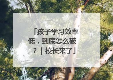 孩子学习效率低，到底怎么破？｜校长来了