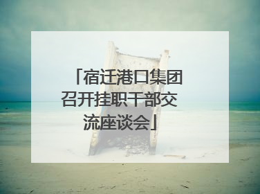 宿迁港口集团召开挂职干部交流座谈会
