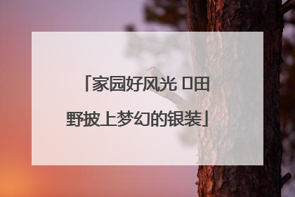 家园好风光 ⎮田野披上梦幻的银装