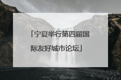 宁夏举行第四届国际友好城市论坛