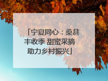 宁夏同心：桑葚丰收季 甜蜜采摘助力乡村振兴