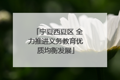 宁夏西夏区 全力推进义务教育优质均衡发展