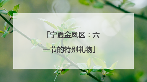 宁夏金凤区：六一节的特别礼物