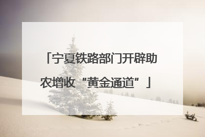 宁夏铁路部门开辟助农增收“黄金通道”