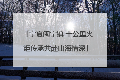 宁夏闽宁镇 十公里火炬传承共赴山海情深