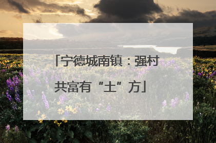 宁德城南镇：强村共富有“土”方