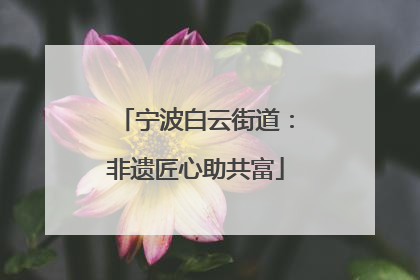 宁波白云街道：非遗匠心助共富