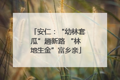 安仁：“幼林套瓜”趟新路 “林地生金”富乡亲
