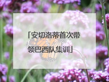 安切洛蒂首次带领巴西队集训