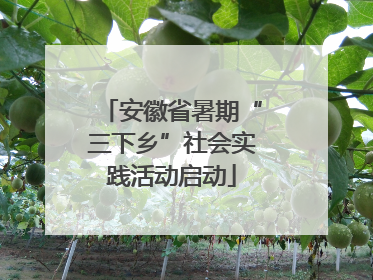 安徽省暑期“三下乡”社会实践活动启动