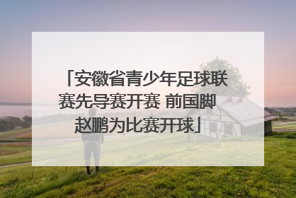 安徽省青少年足球联赛先导赛开赛 前国脚赵鹏为比赛开球