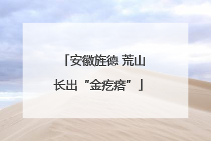 安徽旌德 荒山长出“金疙瘩”