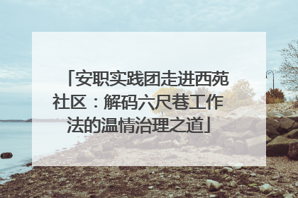 安职实践团走进西苑社区：解码六尺巷工作法的温情治理之道