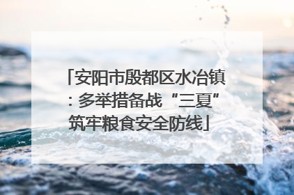安阳市殷都区水冶镇：多举措备战“三夏” 筑牢粮食安全防线