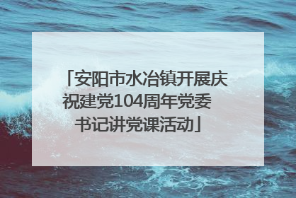 安阳市水冶镇开展庆祝建党104周年党委书记讲党课活动