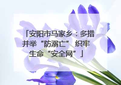 安阳市马家乡：多措并举“防溺亡” 织牢生命“安全网”