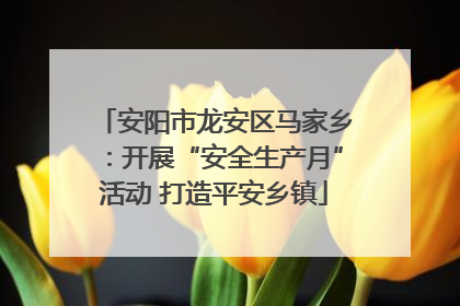 安阳市龙安区马家乡：开展“安全生产月”活动 打造平安乡镇