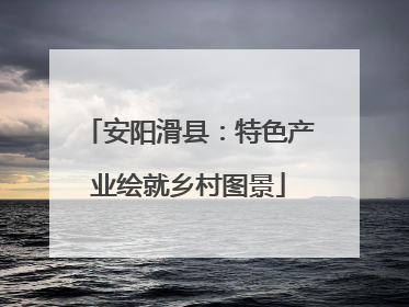 安阳滑县：特色产业绘就乡村图景