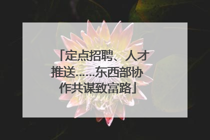 定点招聘、人才推送……东西部协作共谋致富路