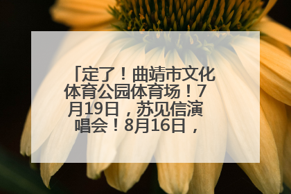 定了！曲靖市文化体育公园体育场！7月19日，苏见信演唱会！8月16日，萧敬腾演唱会！