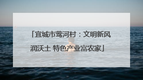 宜城市莺河村：文明新风润沃土 特色产业富农家