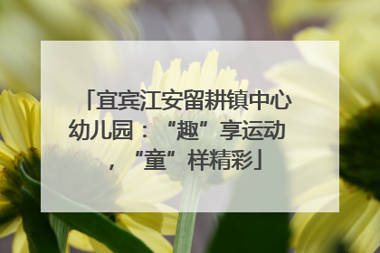 宜宾江安留耕镇中心幼儿园：“趣”享运动，“童”样精彩