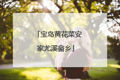宝岛黄花菜安家尤溪畲乡