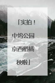 实拍！中坞公园京西稻插秧啦