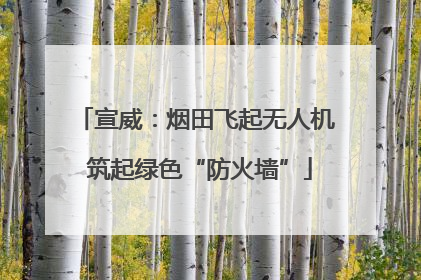 宣威：烟田飞起无人机 筑起绿色“防火墙”