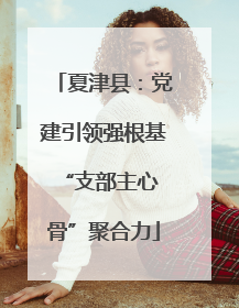 夏津县：党建引领强根基 “支部主心骨”聚合力