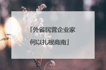 外省民营企业家何以扎根商南