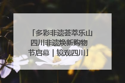 多彩非遗荟萃乐山 四川非遗焕新购物节启幕｜镜观四川