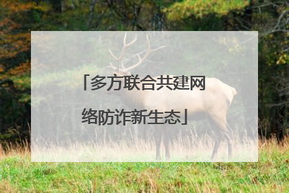 多方联合共建网络防诈新生态