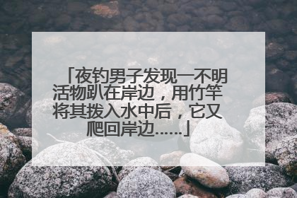 夜钓男子发现一不明活物趴在岸边，用竹竿将其拨入水中后，它又爬回岸边……