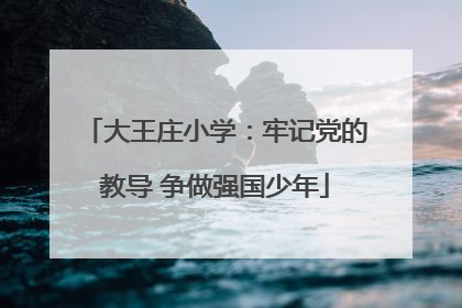 大王庄小学：牢记党的教导 争做强国少年