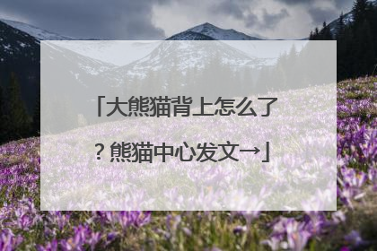 大熊猫背上怎么了？熊猫中心发文→