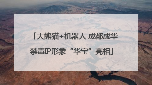 大熊猫+机器人 成都成华禁毒IP形象“华宝”亮相