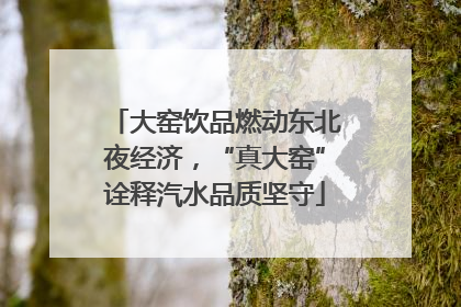 大窑饮品燃动东北夜经济，“真大窑”诠释汽水品质坚守