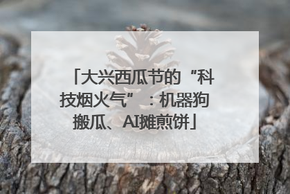 大兴西瓜节的“科技烟火气”：机器狗搬瓜、AI摊煎饼