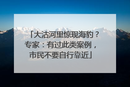 大沽河里惊现海豹？专家：有过此类案例，市民不要自行靠近
