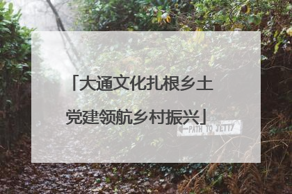 大通文化扎根乡土 党建领航乡村振兴